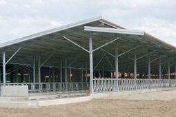 Оборудование для Кормления Телят и Автоматические Кормушки и Поилки